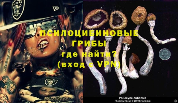 тгк Баксан